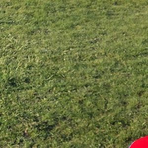 Meet your Posher, Nadia